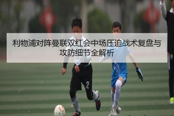 img_1780526651898_2700_0_238.jpg
