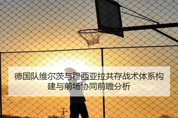 德国队维尔茨与穆西亚拉共存战术体系构建与前场协同前瞻分析